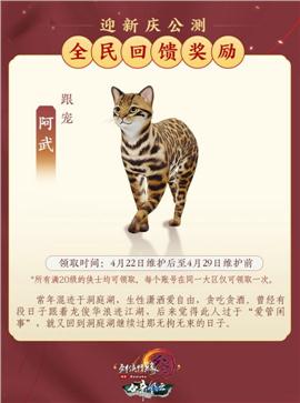 荣耀游天龙八部私服